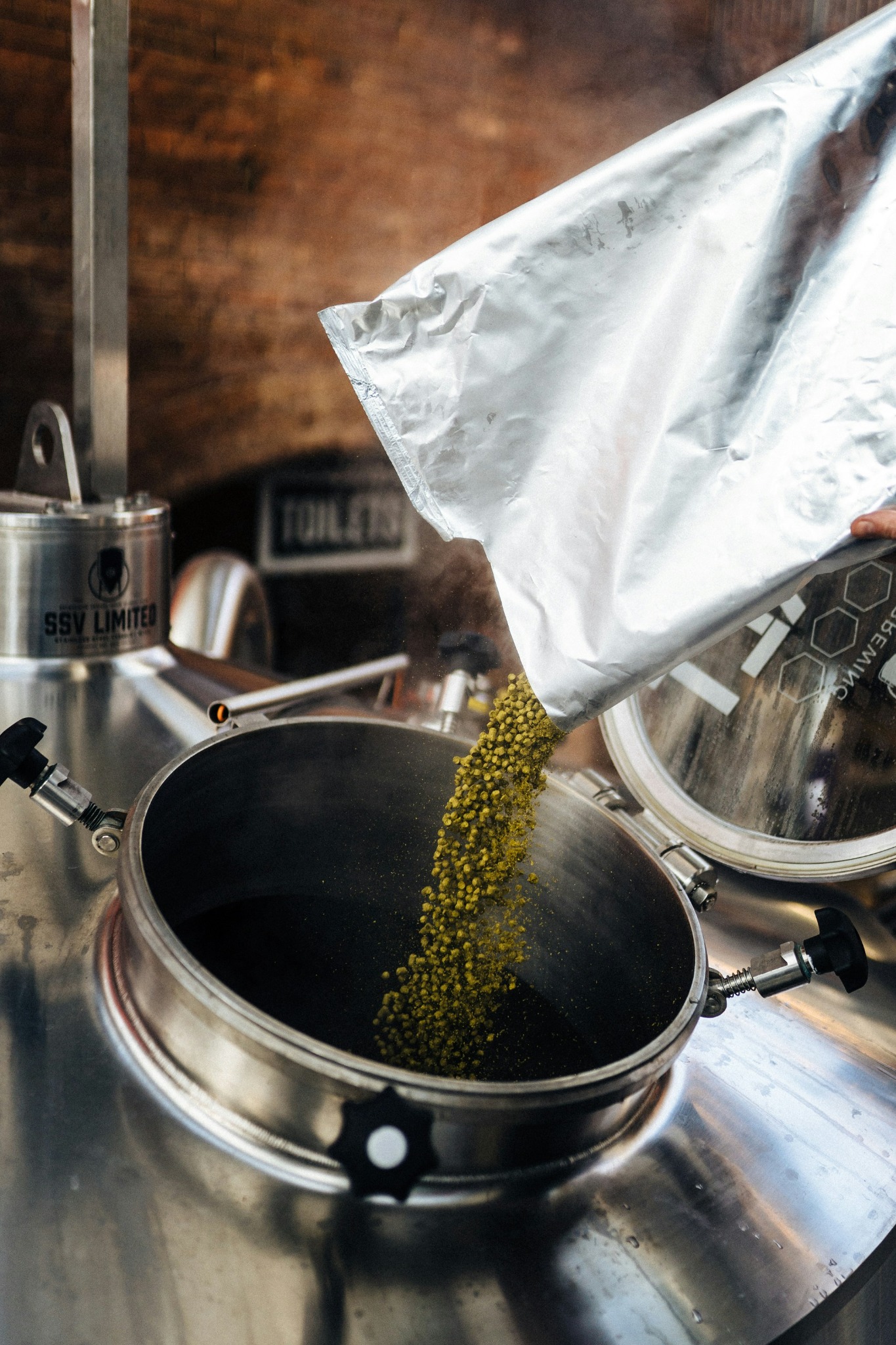 Hops Guide: Bitterness, Aroma, Varieties and Brewing Use